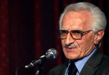 زبان فرش محسن محسنی