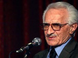 زبان فرش محسن محسنی