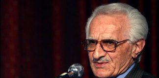 زبان فرش محسن محسنی